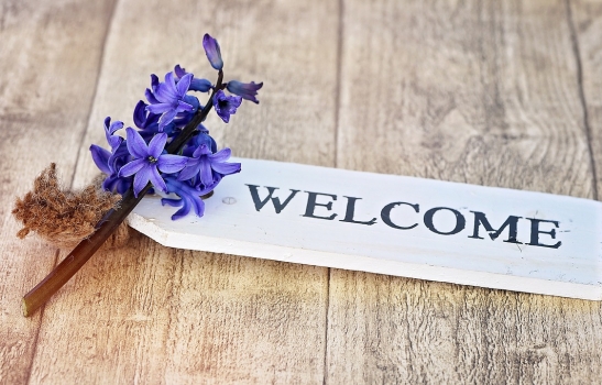 Bienvenue Blog Actualités